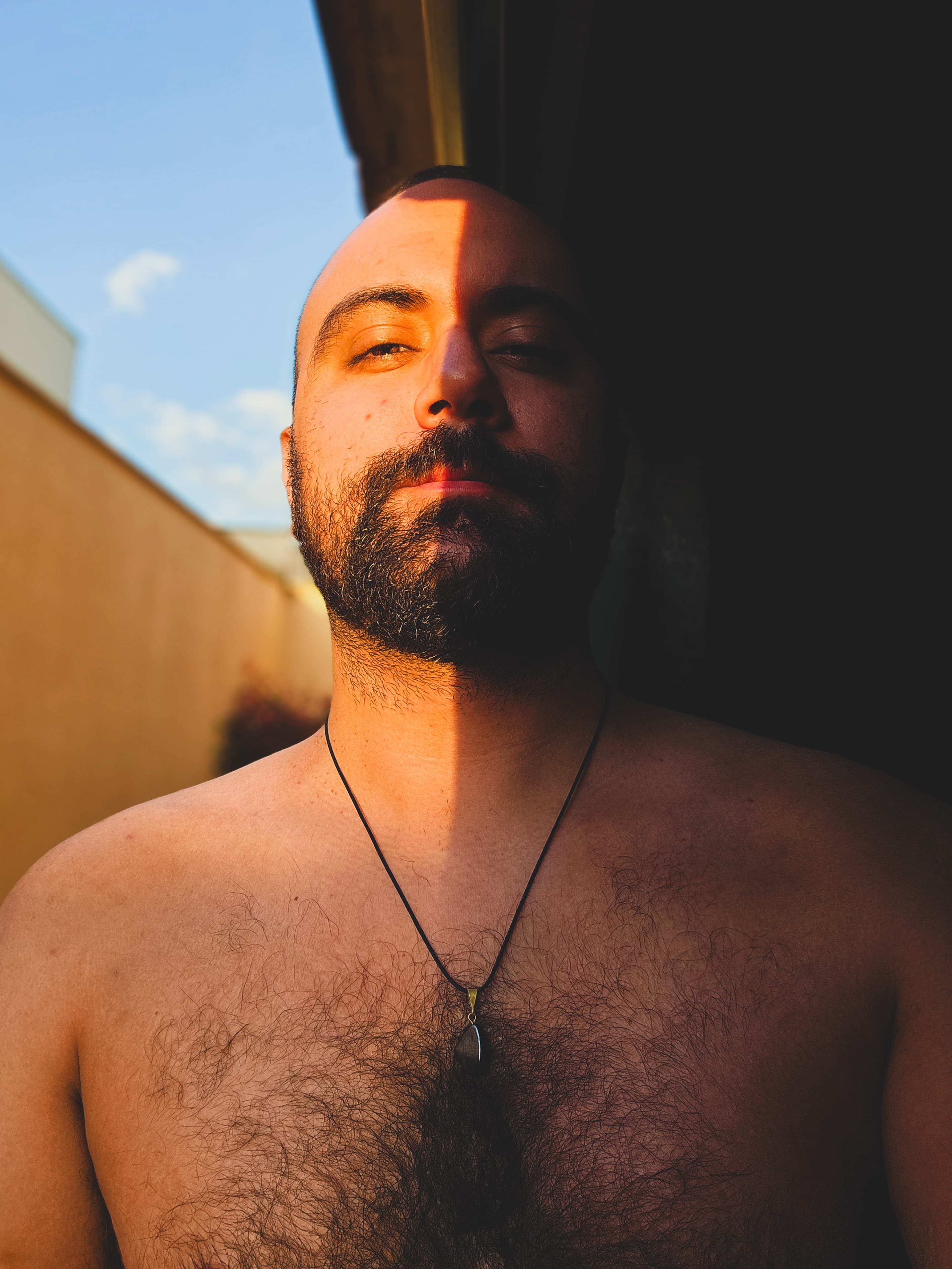 Luiz Henrique de Carvalho
